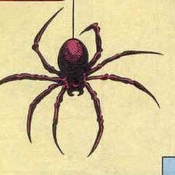 radioactive spider spiderman