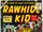 Rawhide Kid Vol 1 3.jpg