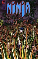 Ninja #10