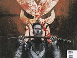 Punisher War Journal: Brother Vol 1 1