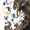Ultimates Vol 2 4