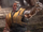 Nathan Summers (Tierra-13625)