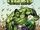 Incredible Hulk Vol 1 709 Stan Lee Box Exclusive Variant.jpg