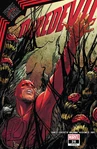 Daredevil Vol 6 #26-27