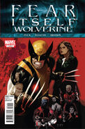 Fear Itself: Wolverine Vol 1 (2011) 3 issues
