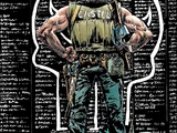 Punisher Invades the 'Nam: Final Invasion Vol 1 1