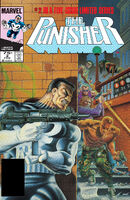 Punisher #2 "Back to the War"