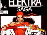 Elektra (Limited Series) Vol 1 1
