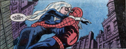 Felicia Hardy (Earth-616) and Peter Parker (Earth-616) from Peter Parker, The Spectacular Spider-Man Vol 1 87 001