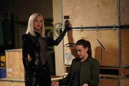 Marvel's Agents of S.H.I.E.L.D. Season 5 18