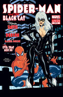 Spider-Man Black Cat The Evil That Men Do Vol 1 3
