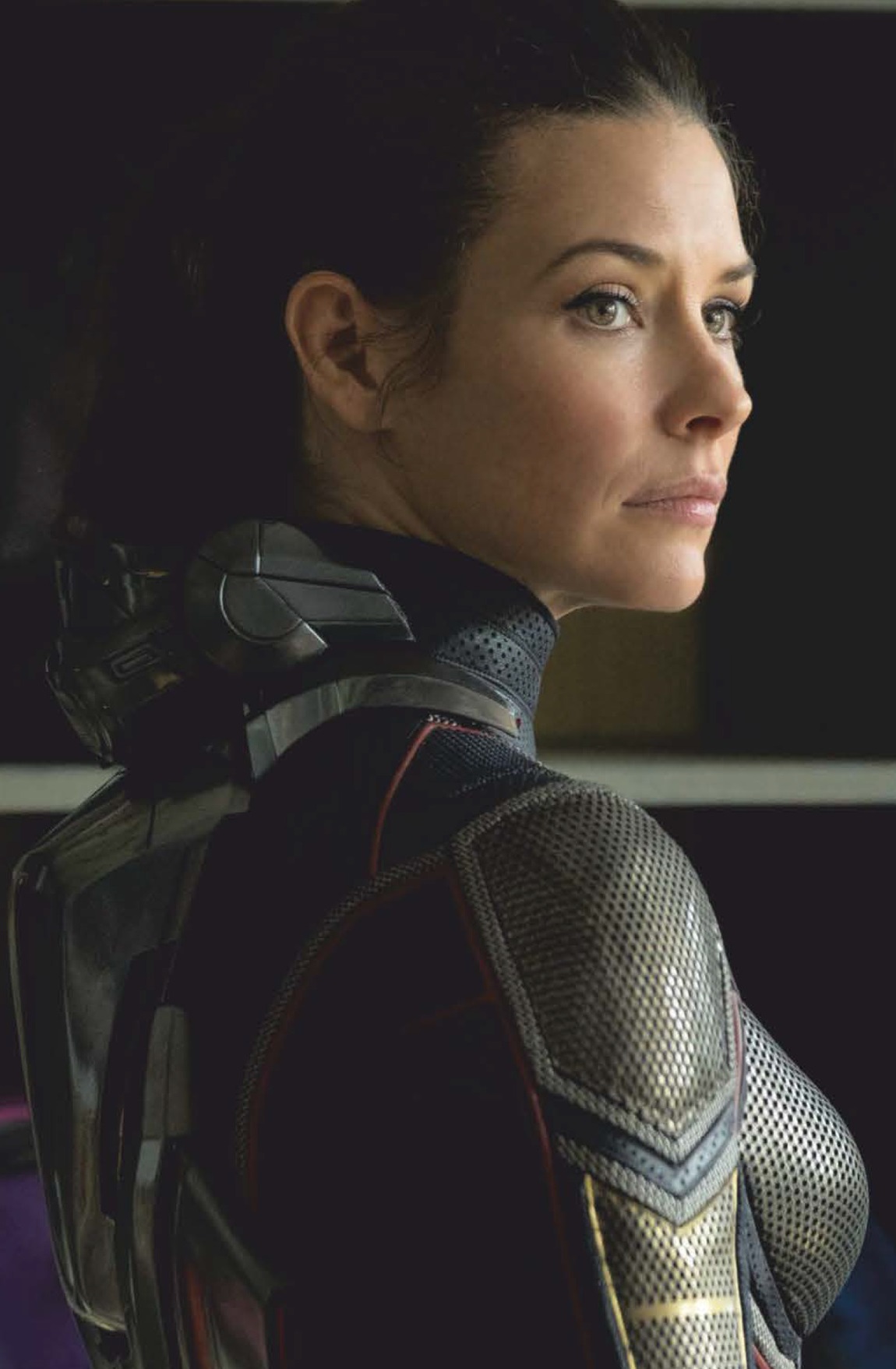 hope-van-dyne-terra-199999-marvel-database-fandom