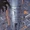 Arcadia (Savage Land)
