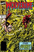 Wolverine Vol 2 #22 (marzo 1, 1990)