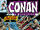 Conan the Barbarian Vol 1 102