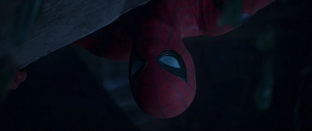 スパイダーマン ピーター パーカー アース マーベル データベース Wiki Fandom