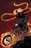 Ghost Rider Vol 7 1 Adams Variant Textless
