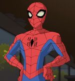 Spectacular Spider-Man animated series (Earth-26496)