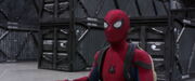ダメージ・コントロールの保管庫に入ったスパイダーマン