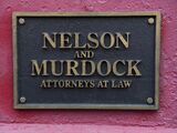 Nelson and Murdock (Earth-199999)