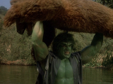 The Incredible Hulk (TV series) Season 1 2