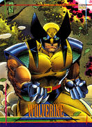 116. Wolverine