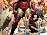 Iron Man: Director of S.H.I.E.L.D. Annual Vol 1 1
