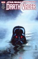 Darth Vader (Vol. 2) #14 "Burning Seas: Part II" Release date: April 11, 2018 Cover date: June, 2018