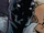 Shuri (Earth-23099)
