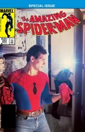 Amazing Spider-Man Vol 1 262