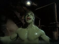 David Banner (Earth-400005) from The Incredible Hulk (TV series) Season 2 14 001
