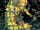 NYX Vol 2 3