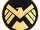 Strategic Homeland Intervention, Enforcement and Logistics Division (Earth-12131)