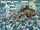 Earth-TRN1201