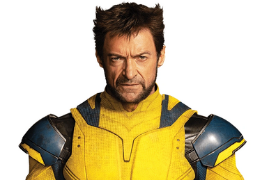 Wolverine w413 online