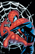 Spectacular Spider-Man Vol 2 12 Textless