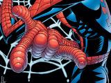 Spectacular Spider-Man Vol 2 12