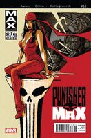 Punishermax Vol 1 18