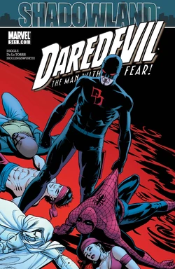 Daredevil: Shadowland Omnibus Vol 1 1 | Marvel Database | Fandom
