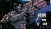 Wolverine Vol 3 40 page - James Howlett (Earth-616)