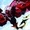 Air Force (Earth-616)