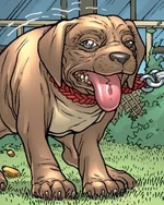Baxter (Dog) (Earth-616) from X-Men First Class Vol 1 2 0001