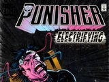 Punisher Vol 3 1
