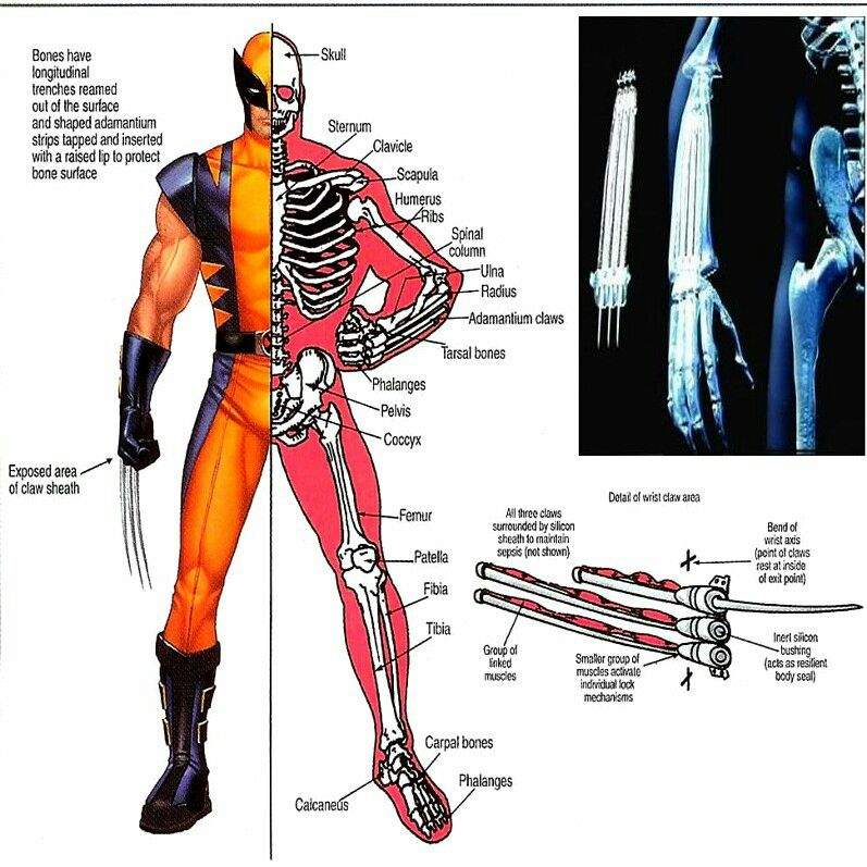 Adamantium | Marvel | Fandom