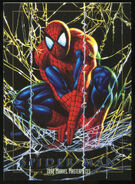 Peter Parker (Earth-616) from Marvel Masterpieces (Trading Cards) 1992 001