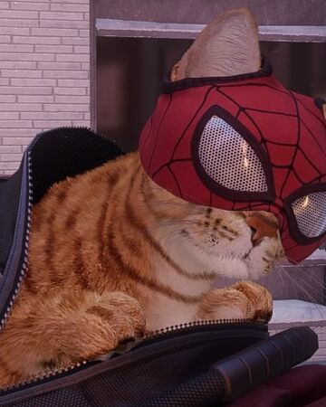 spider man cat earth 1048 marvel
