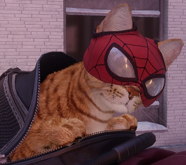 spider man cat backpack