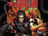 Captain America & the Winter Soldier Special Vol 1 1