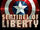 Captain America: Sentinel of Liberty (video game)