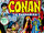 Conan the Barbarian Vol 1 29